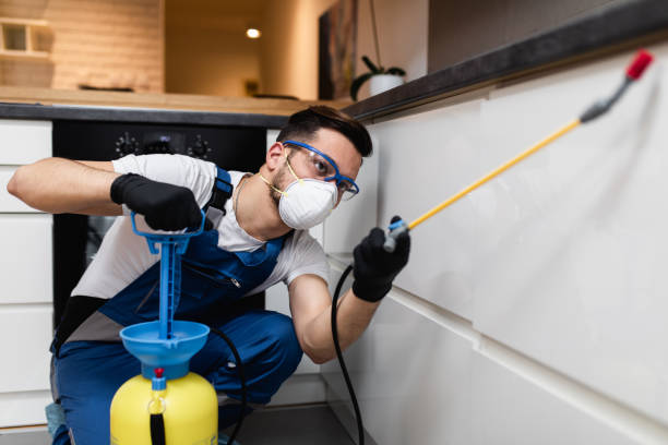 Best Rat Extermination Near Me  in Circle D Kc Estates, TX