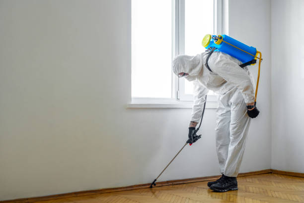 Trusted Circle D Kc Estates, TX Pest Control Experts