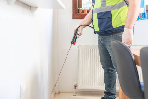 Best Affordable Pest Control Services  in Circle D Kc Estates, TX