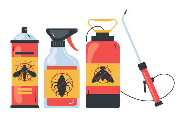 Professional Pest Control in Circle D Kc Estates, TX