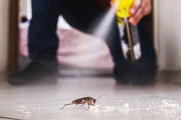 Best Pest Removal Services  in Circle D Kc Estates, TX