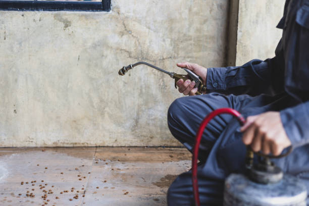 Best Termite Control Services  in Circle D Kc Estates, TX